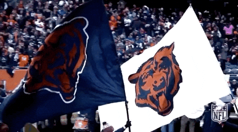 Chicago Bear Flag Waving Down GIF