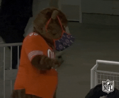 Chicago Bear Mascot Down Dancing GIF