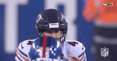 Chicago Bears Tries To Catch The Ball GIF