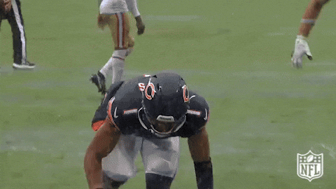 Chicago Bears Water Slide GIF