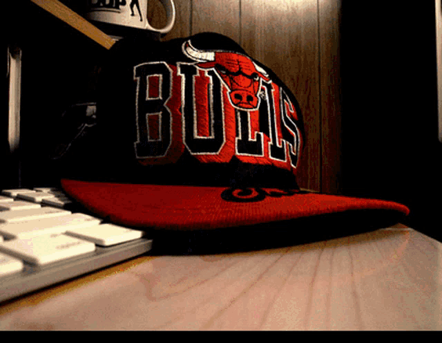 Chicago Bulls Bulls Gif GIF