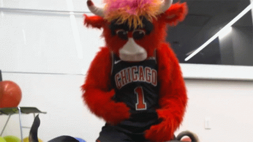 Chicago Bulls Mascot Black Jersey GIF