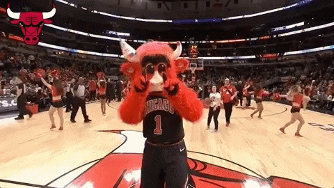 Chicago Bulls Mascot Dancing GIF