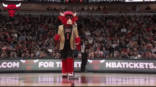 Chicago Bulls Mascot On Basketball Court With Crowd GIF