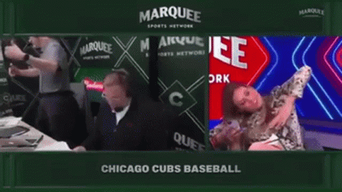 Chicago Cubs Baseball Game