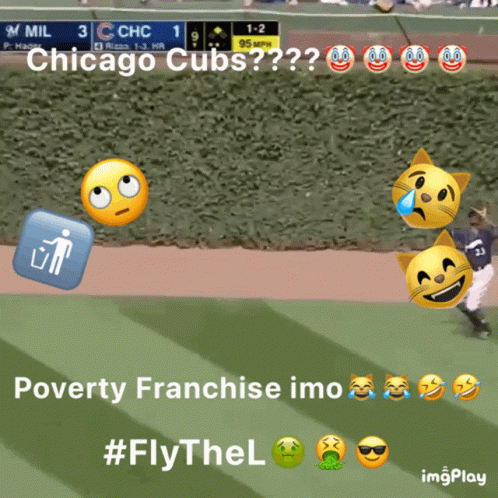 Chicago Cubs Baseball Game