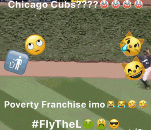 Chicago Cubs Baseball Game