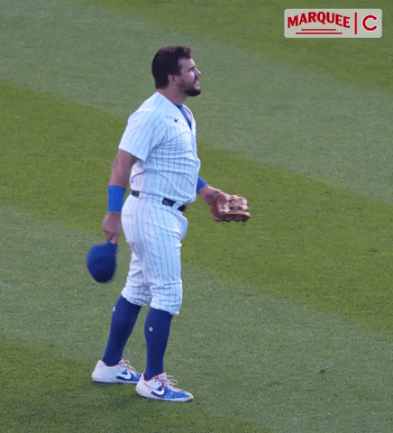 Chicago Cubs Great Catcher GIF