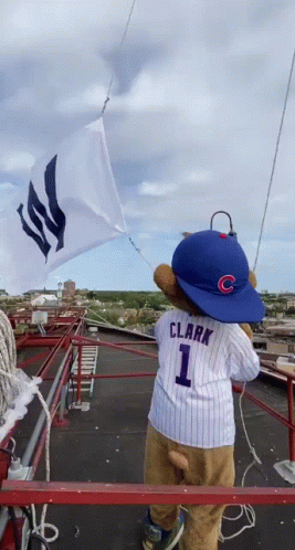 Chicago Cubs Mascot And Flag GIF