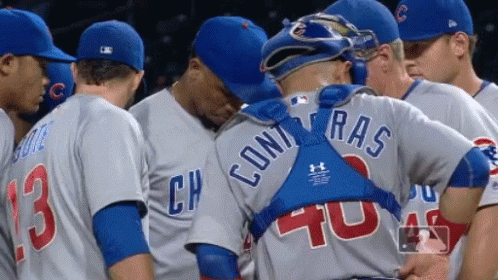 Chicago Cubs Serous Mood GIF
