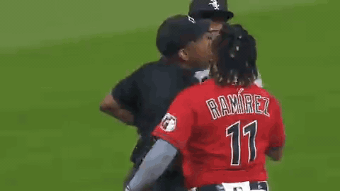 Chicago White Sox Players Fighting GIF