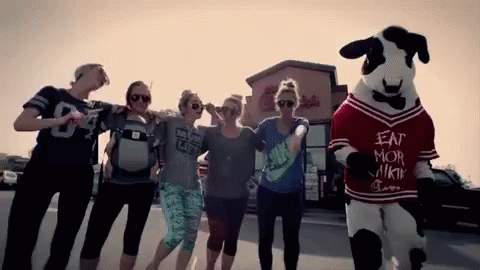 Chick Fil A 480 X 270 Gif GIF