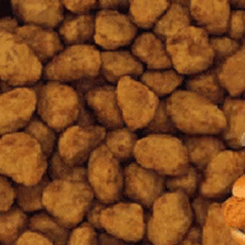 Chick Fil A GIF