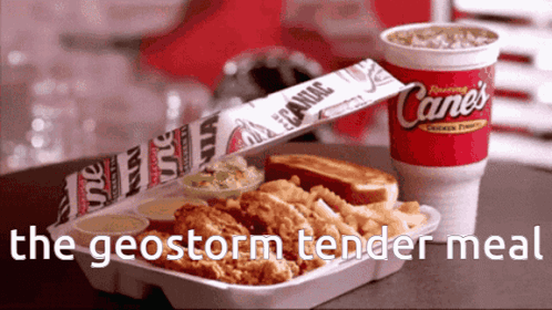 Chicken and Fries in Styrofoam with Cane's Drink