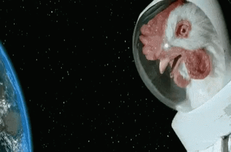 Chicken Astronaut In Outer Space GIF