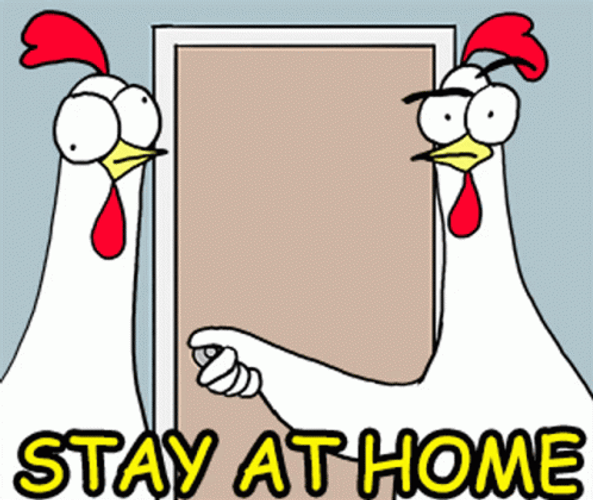Chicken Bro Saying Stay At Home GIF
