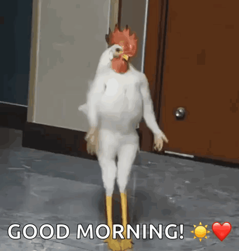 Chicken Dressed as Rooster Saying Good Morning