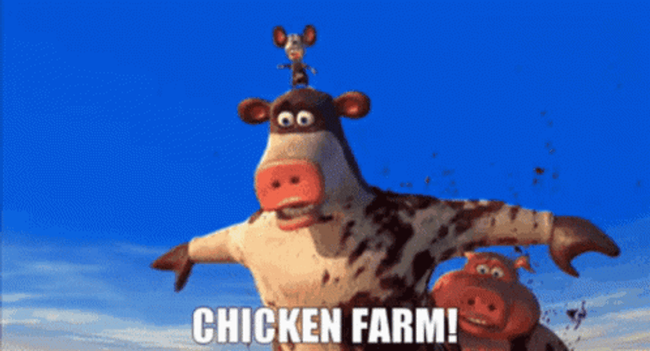 Chicken Farm Otis Cow GIF