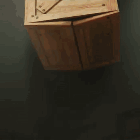 Chicken In Boxing Ring With Bear On Head GIF
