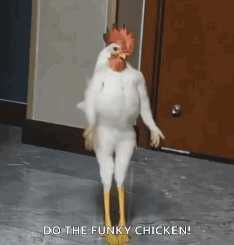 Chicken in Chicken Costume Standing on Hind Legs