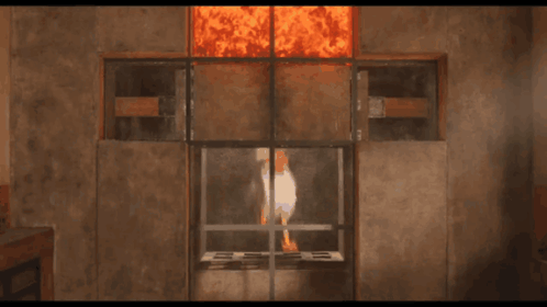 Chicken in Front of Fireplace With Fire