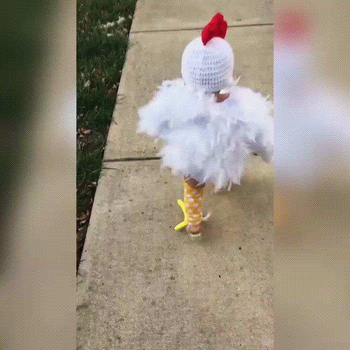 Chicken Little Parody Boy Costume GIF