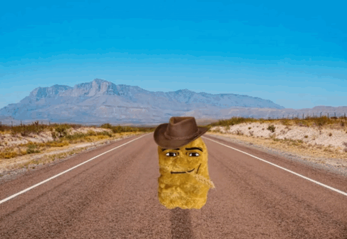 Chicken Nugget Cowboy Hat Meme GIF