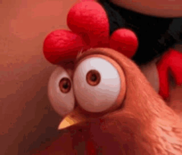 Chicken Say What Gif GIF