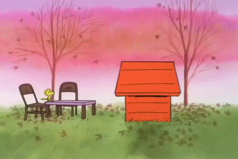 Chicken Served Peanuts Snoopy Thanksgiving GIF