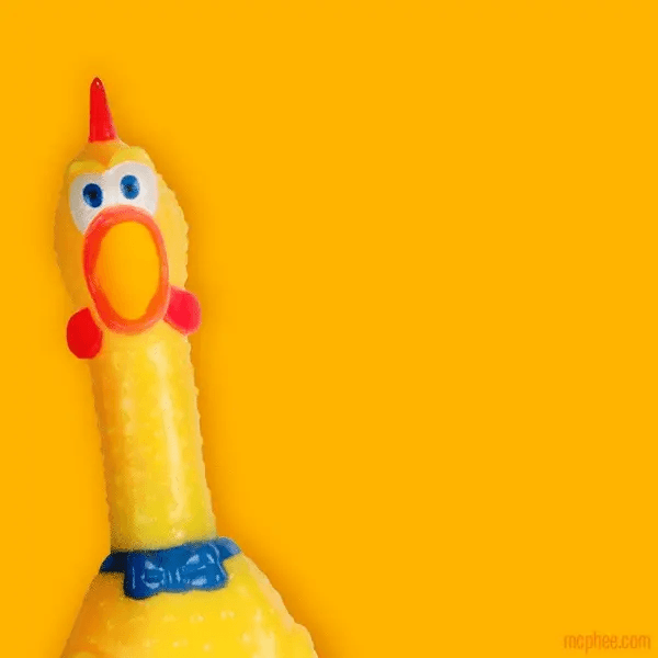 Chicken Toy Screams Yep GIF