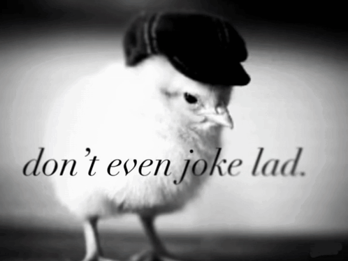 Chicken Wearing Hat Don T Even Joke Lad