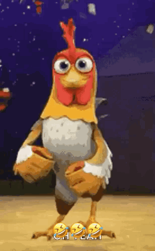Chicken Wearing Shoes Standing