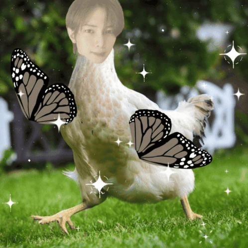 Chicken With Butterflies And Man's Image GIF
