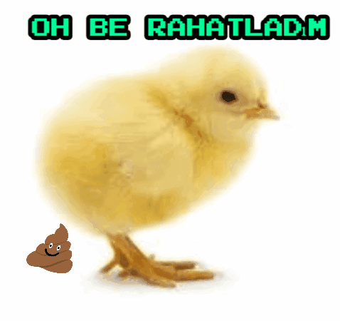 Chicken With Oh Be Rahatladm GIF