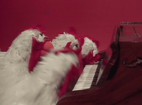 Chickens Playing Piano GIF