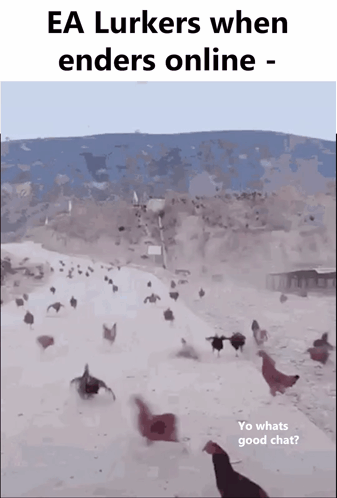 Chickens Running In Snow GIF