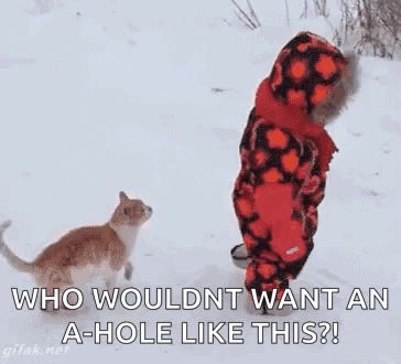 Child and Cat Standing in Snow Cat Looking at Child