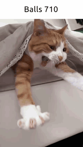 Child Holding Toy Saying Me Every Friday I Did It GIF