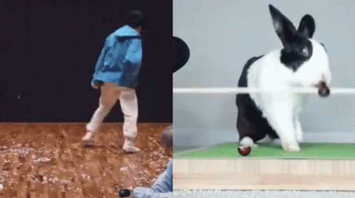 Child In Blue Jacket Walking With Black And White Bunny GIF