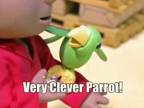 Child in Red Shirt Holding Clever Parrot