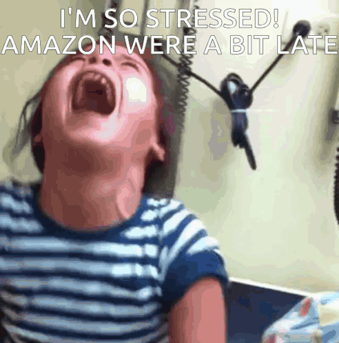 Child Screaming I'm So Stressed Amazon Were a Bit Late