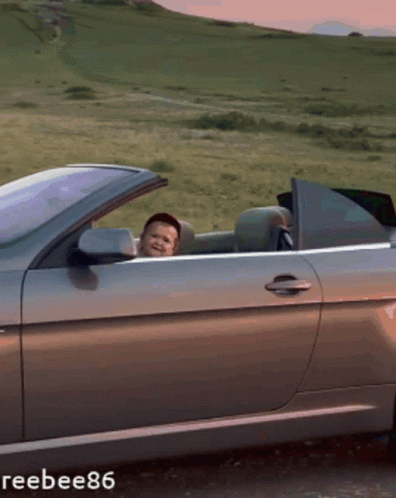 Child Sticking Head Out Car Window With Reebee86