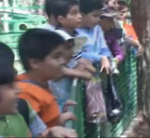 Children Standing Behind Fence GIF