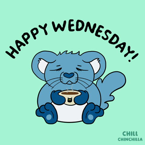 Chill Chinchilla Gif GIF