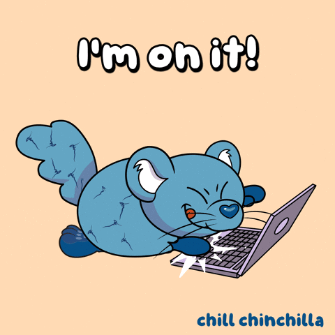 Chill Chinchilla Using Laptop