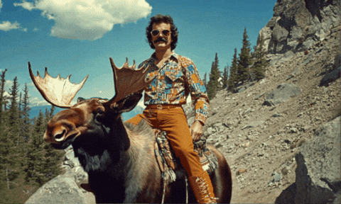 Chill Guy Hyramel Groover Riding In Chill Moose GIF