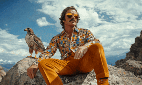 Chill Guy Hyramel Groover Sitting With Chill Bird GIF