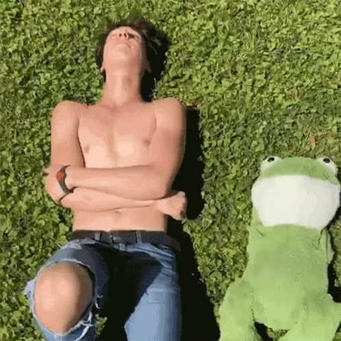 Chill Stoner Sm6 Band Sunbathing GIF