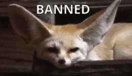 Chilling Fennec Fox Flicking Ears GIF