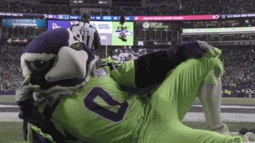 Chilling Seattle Seahawks Waving GIF